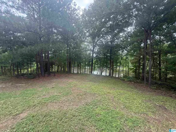 4579 CABIN ROAD, Mccalla, AL 35022