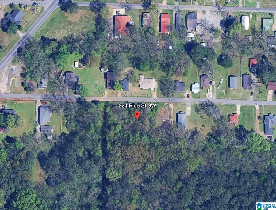 224 PINE STREET SW, Bessemer, AL 35022 - #2