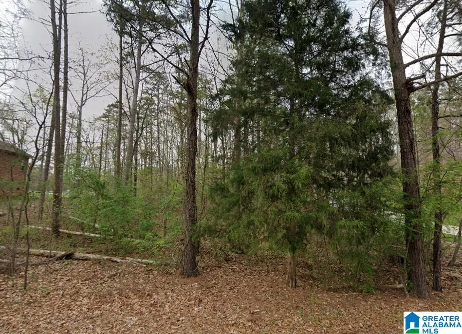 0 WOODLAND AVENUE, Pinson, AL 35126 - #1