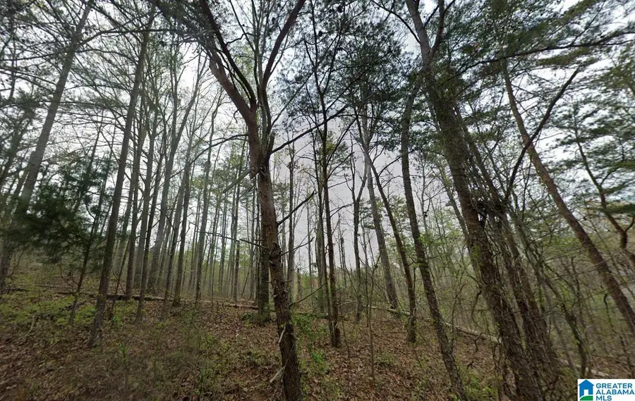 0 WOODLAND AVENUE, Pinson, AL 35126 - #2