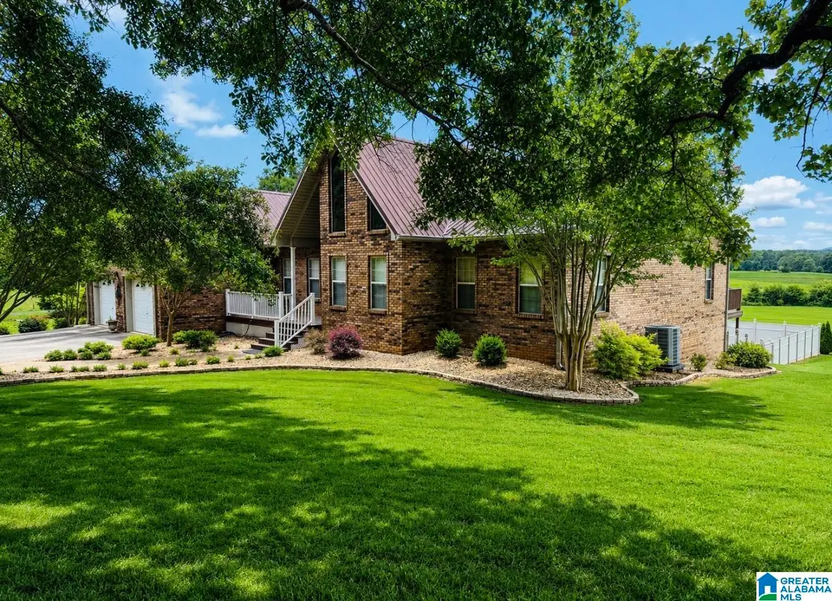 4495 ODENA ROAD NORTH, Alpine, AL 35014 - #1