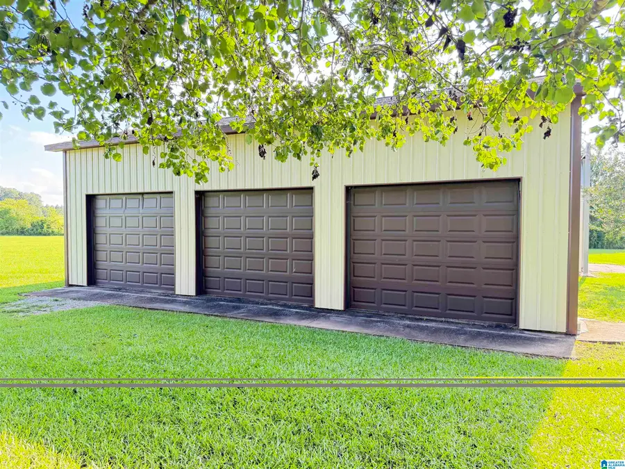 4495 ODENA ROAD NORTH, Alpine, AL 35014 - #3