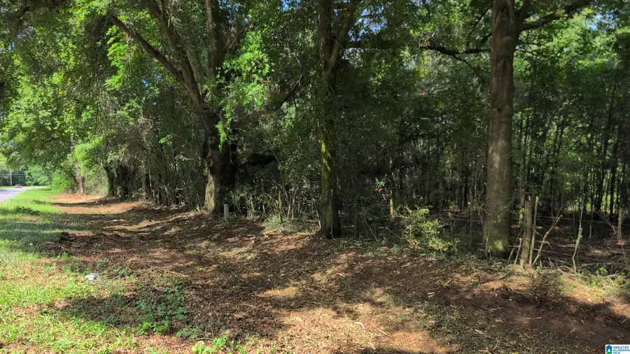 1 Ac+/- COOSADA ROAD, Millbrook, AL 36054 - #2