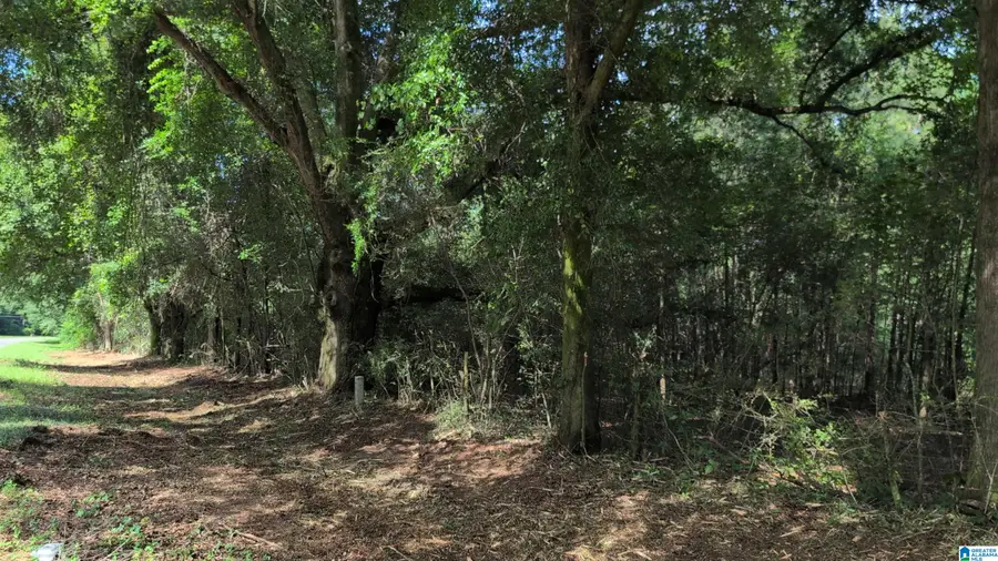 1 Ac+/- COOSADA ROAD, Millbrook, AL 36054 - #3