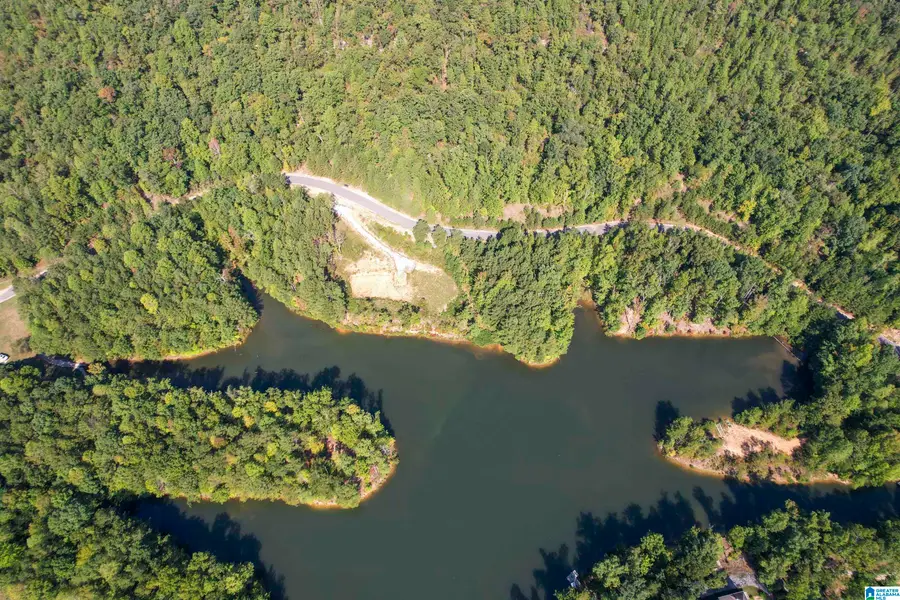 #3A DEER RIDGE DRIVE, Chelsea, AL 35043 - #2