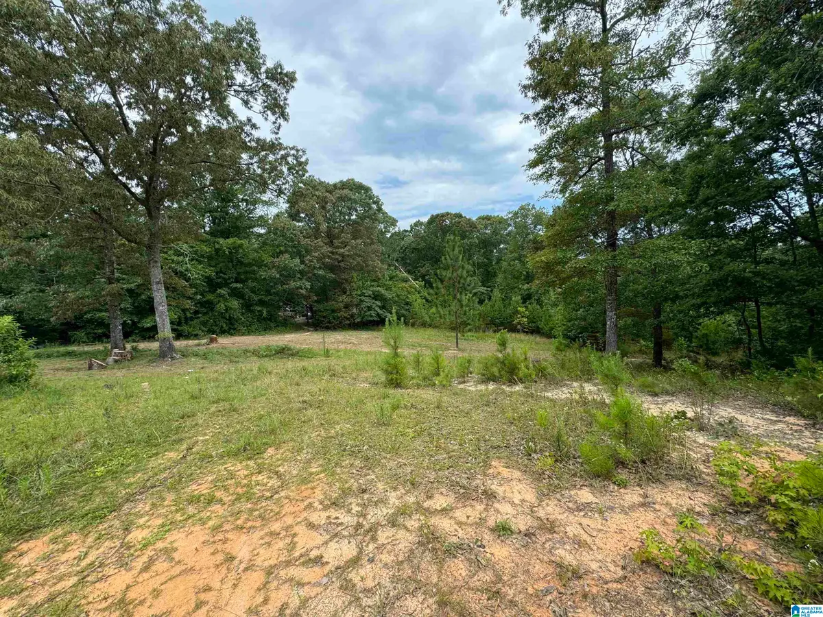 3917 COUNTY ROAD 1113, Troy, AL 36079 - #1