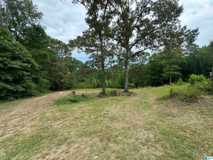 3917 COUNTY ROAD 1113, Troy, AL 36079 - #2