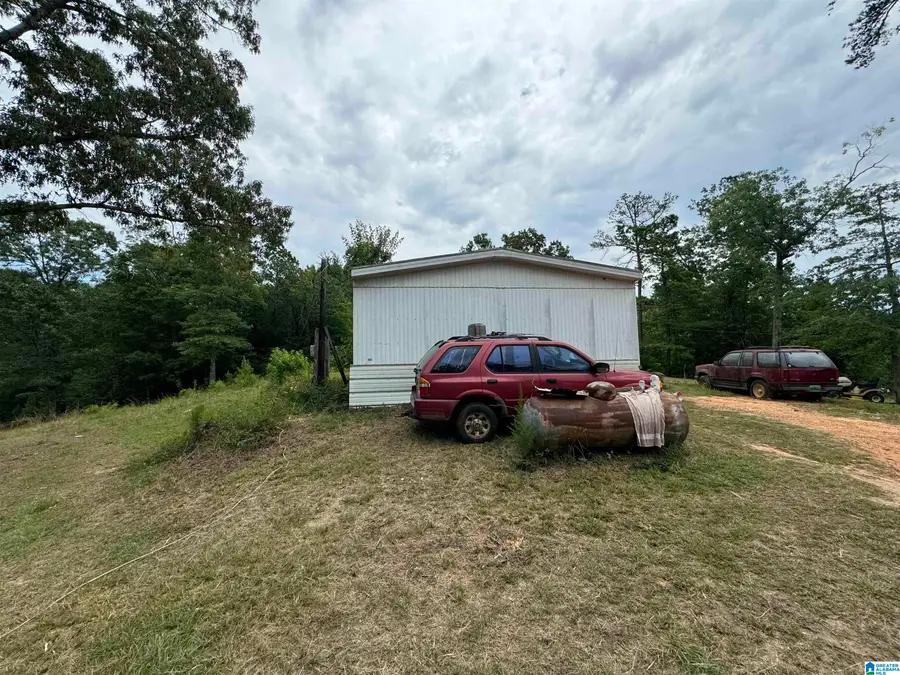3917 COUNTY ROAD 1113, Troy, AL 36079 - #3