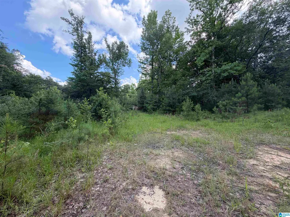 350 OSCAR BRADFORD ROAD, Warrior, AL 35180 - #1