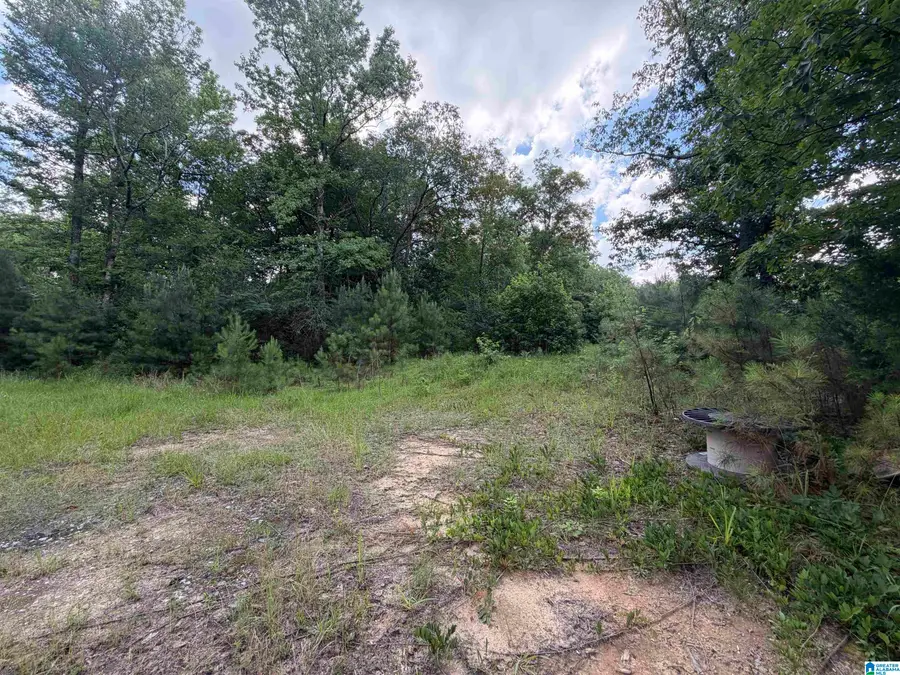 350 OSCAR BRADFORD ROAD, Warrior, AL 35180 - #2