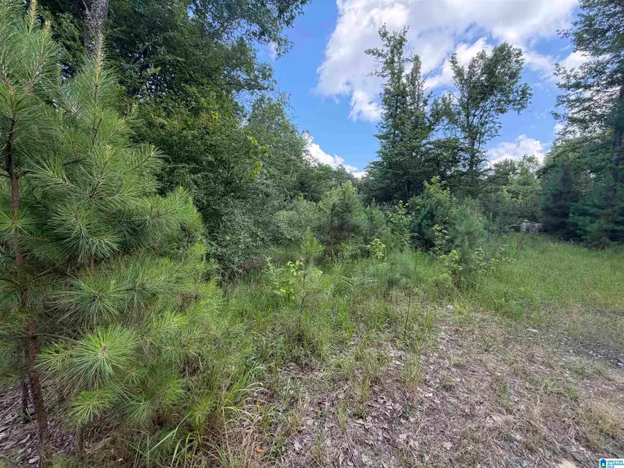 350 OSCAR BRADFORD ROAD, Warrior, AL 35180 - #3