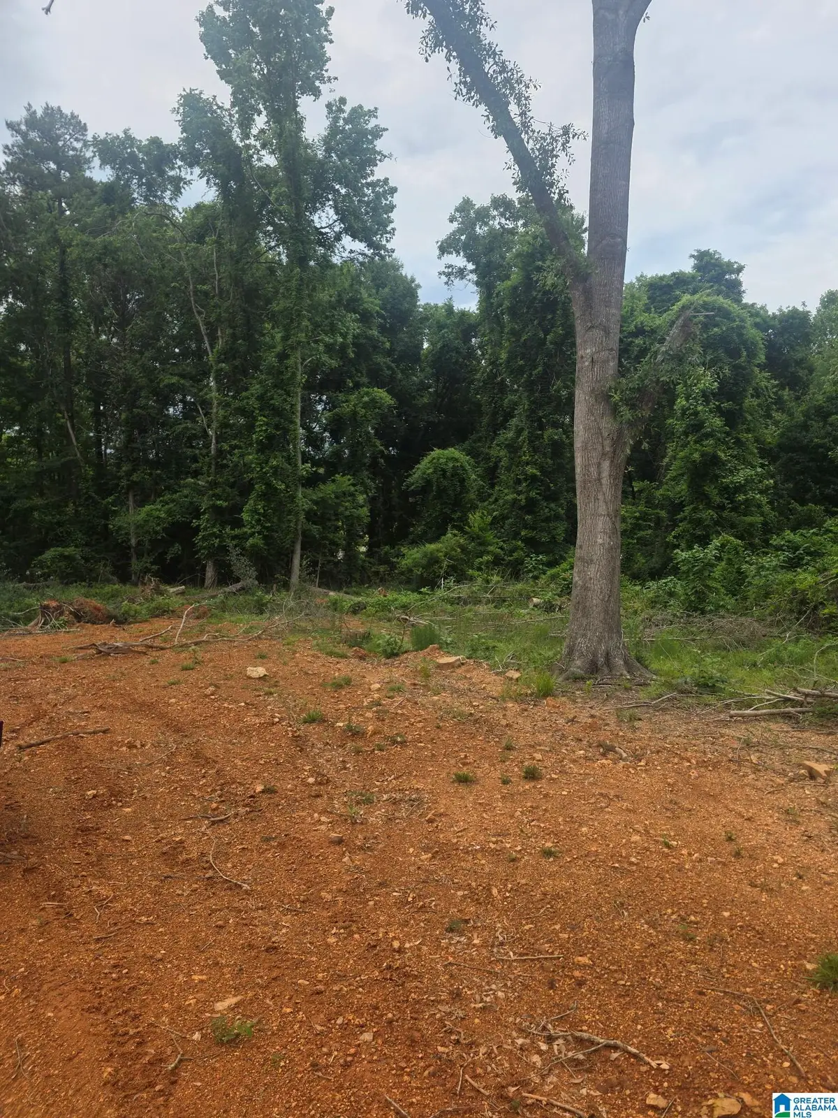 9777 RAILROAD ROAD, Pinson, AL 35126 - #1
