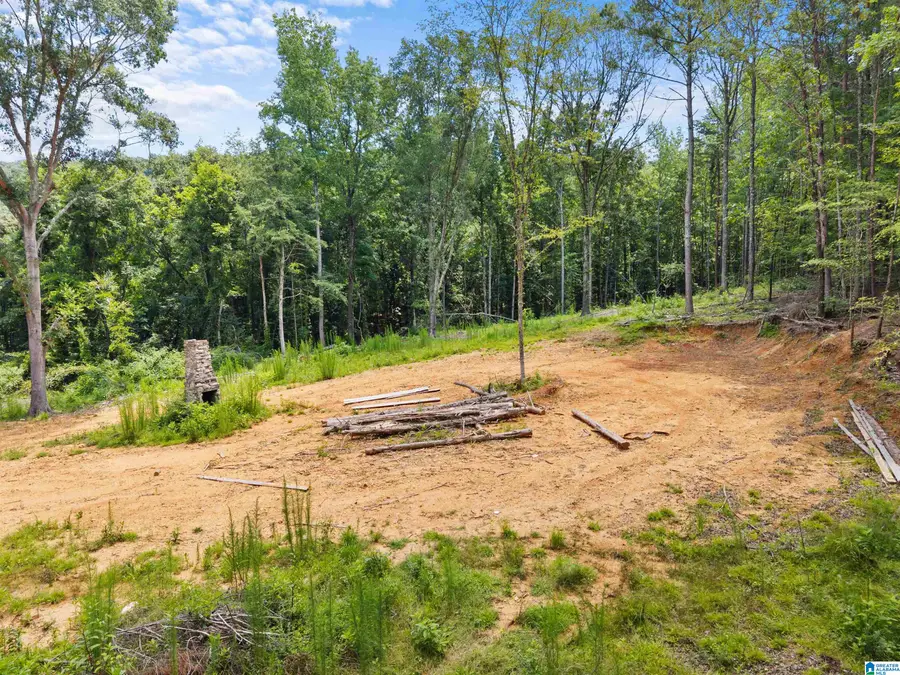 9777 RAILROAD AVENUE, Pinson, AL 35126 - #2