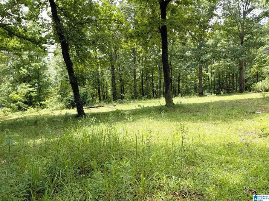 141 PROSPERITY LANE, Warrior, AL 35180 - #3