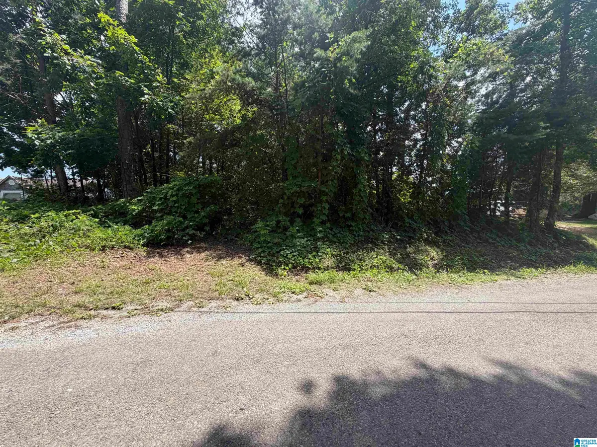 0 HOLIDAY DRIVE, Oneonta, AL 35121 - #1
