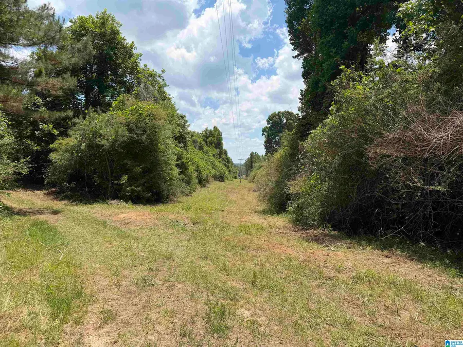 0 COUNTY ROAD 87, Roanoke, AL 36274 - #2