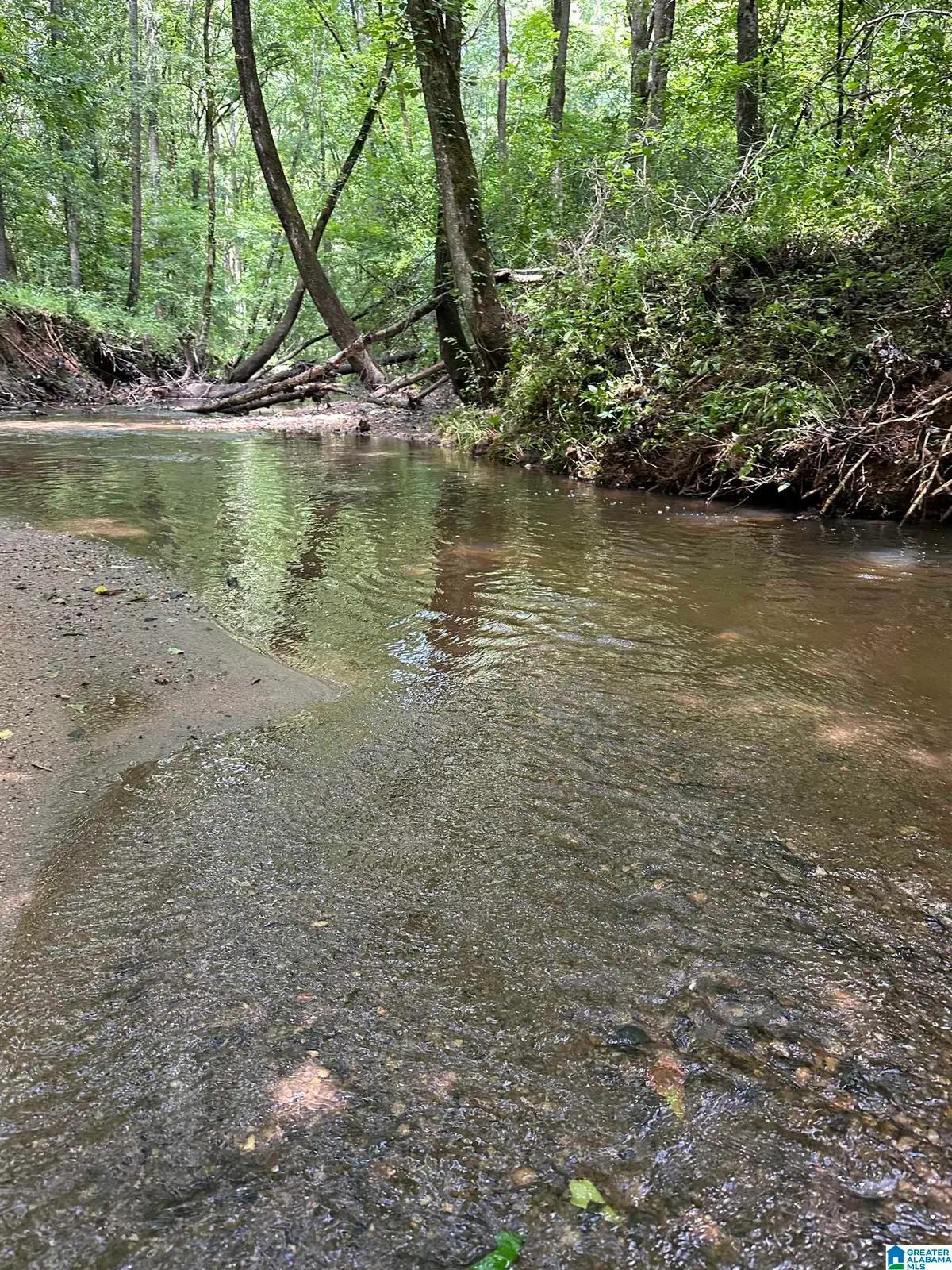 COUNTY ROAD 246, Five Points, AL 36855 - #1