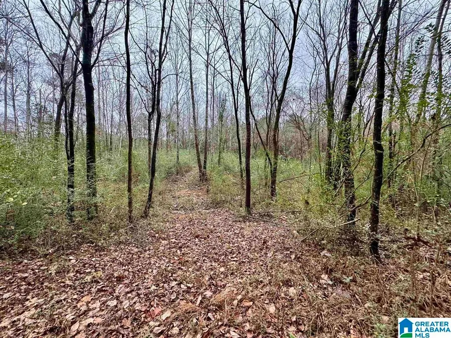 8260 KERMIT JOHNSON ROAD, Pinson, AL 35126 - #2