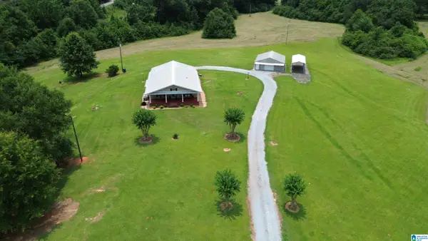 10264 MCGOWANS FERRY ROAD, Childersburg, AL 35044