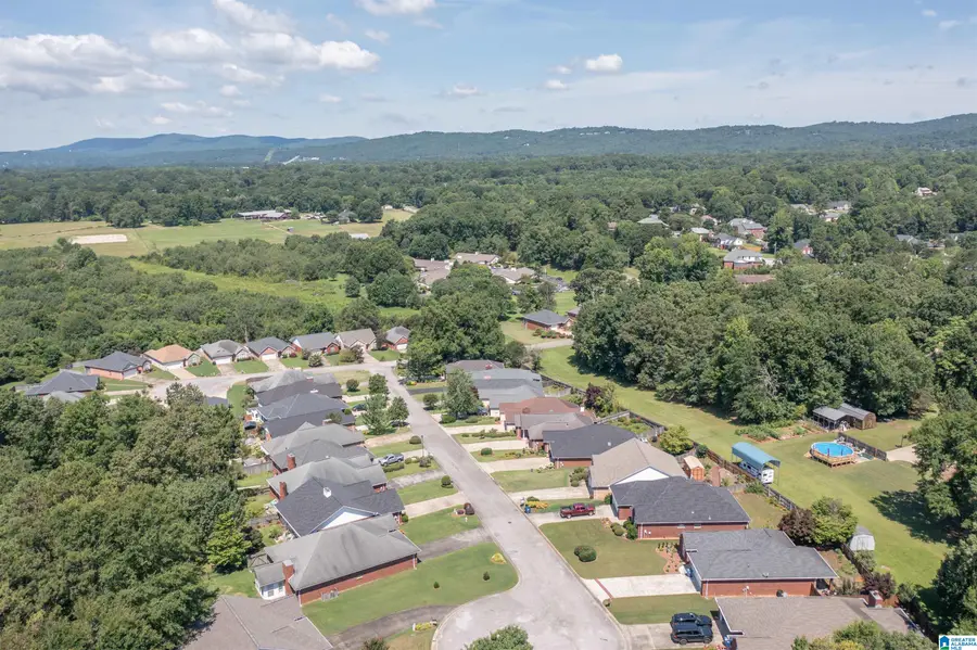 1521 HOLLY BERRY WAY, Anniston, AL 36207 - #3