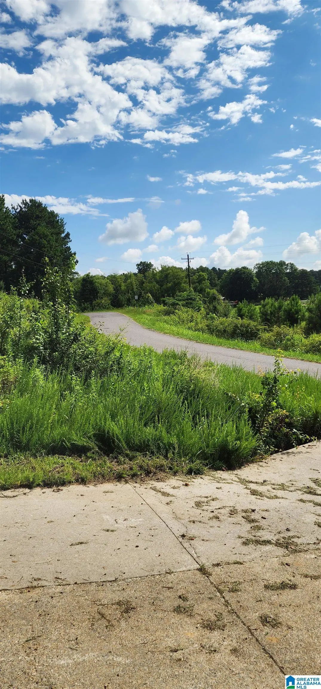 0 HICKS ROAD, Oneonta, AL 35121 - #1