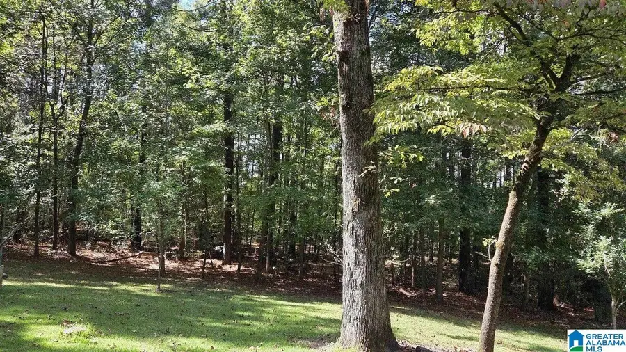 237 DRAGLINE LANE, Leeds, AL 35094 - #3