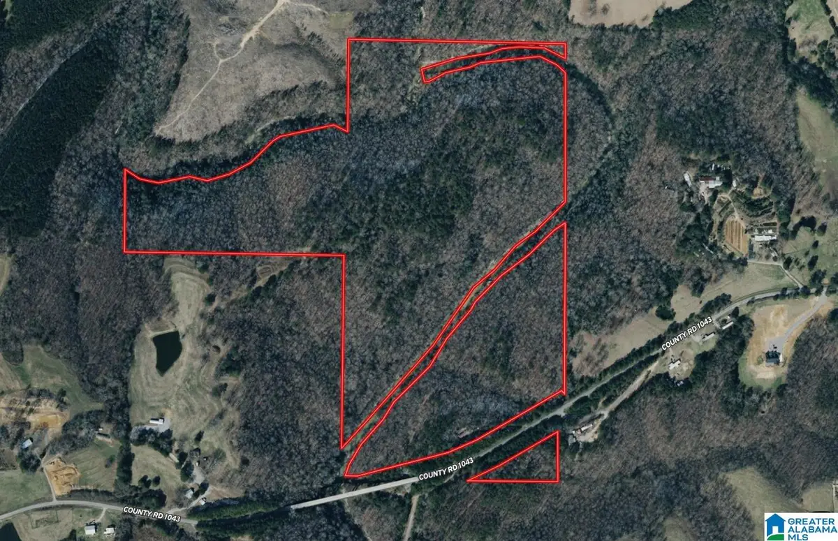 91 Acres COUNTY ROAD 1043, Vinemont, AL 35179 - #1