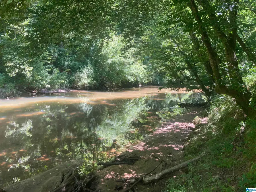 91 Acres COUNTY ROAD 1043, Vinemont, AL 35179 - #2