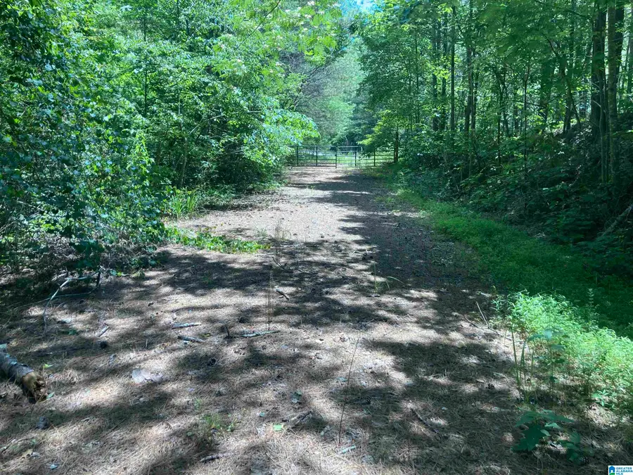 91 Acres COUNTY ROAD 1043, Vinemont, AL 35179 - #3