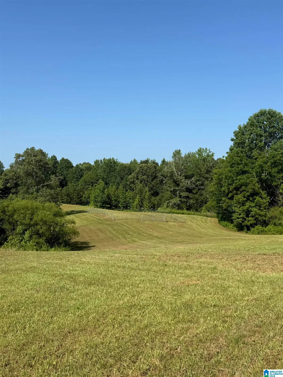0 COUNTY ROAD 450, Fruithurst, AL 36262 - #1