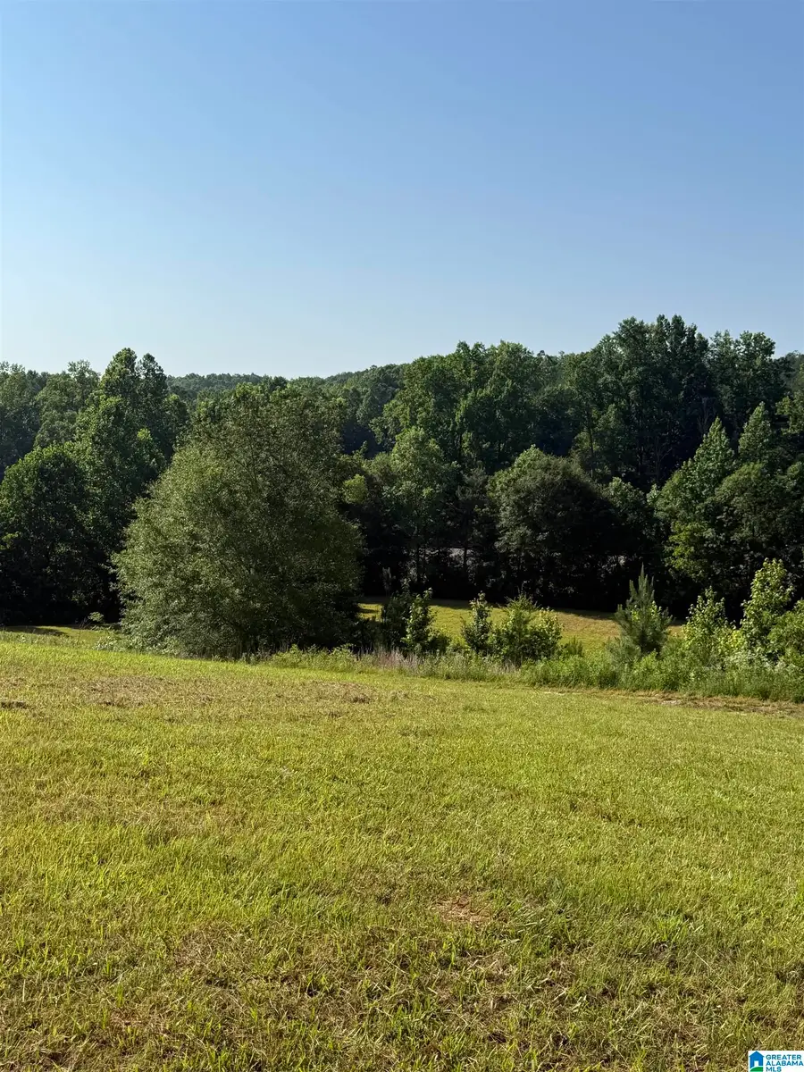 0 COUNTY ROAD 450, Fruithurst, AL 36262 - #2