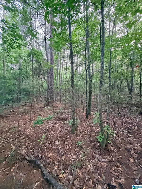 0 HIGHWAY 55, Sterrett, AL 35147