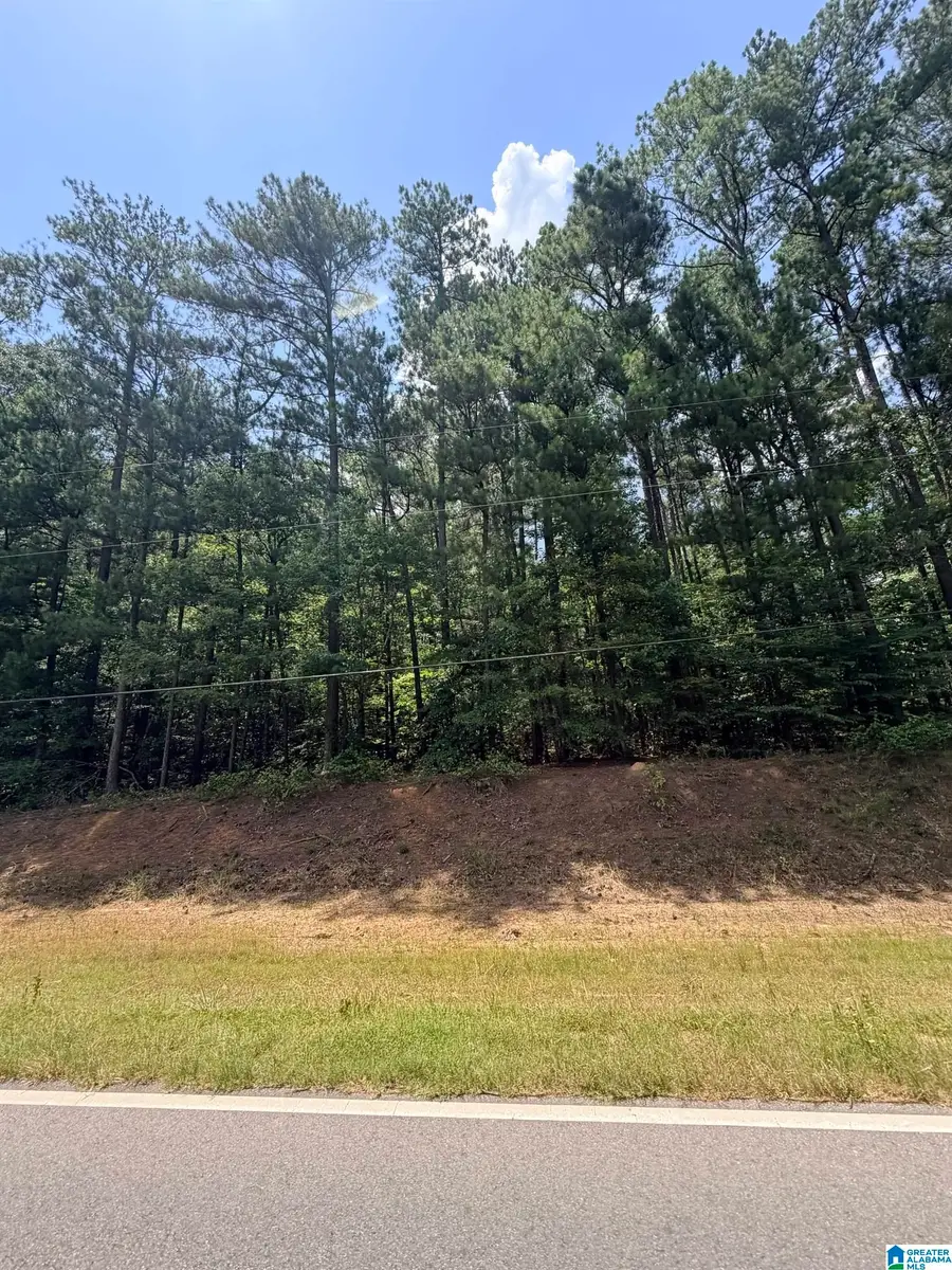 0 HIGHWAY 55, Sterrett, AL 35147 - #2