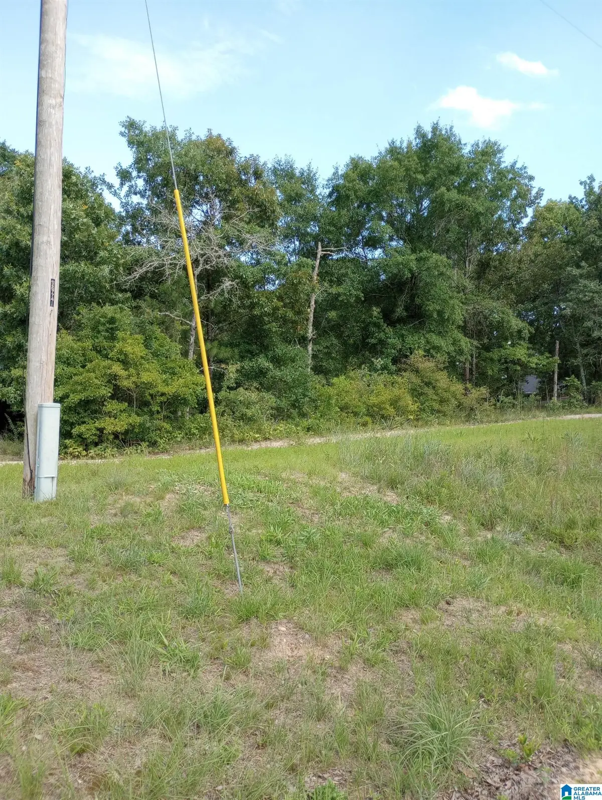 195 HYRAM ROAD, Seale, AL 36875 - #1