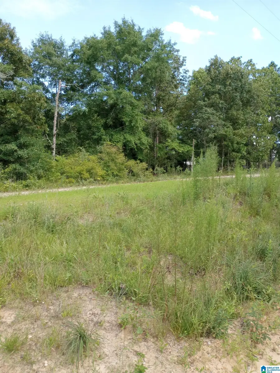 195 HYRAM ROAD, Seale, AL 36875 - #2