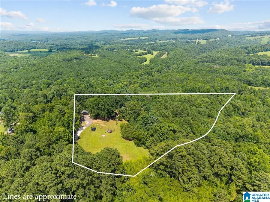 135 BLUFF LANE, Locust Fork, AL 35097 - #2