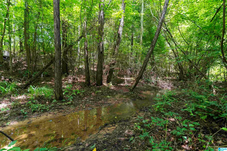 309 FOX VALLEY HIGHLANDS CIRCLE, Alabaster, AL 35007 - #2