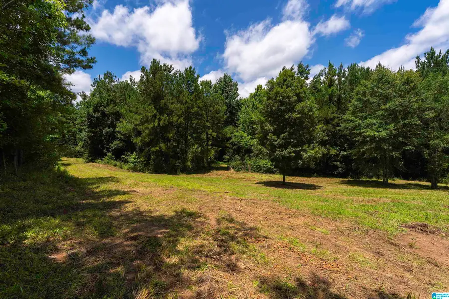 309 FOX VALLEY HIGHLANDS CIRCLE, Alabaster, AL 35007 - #3