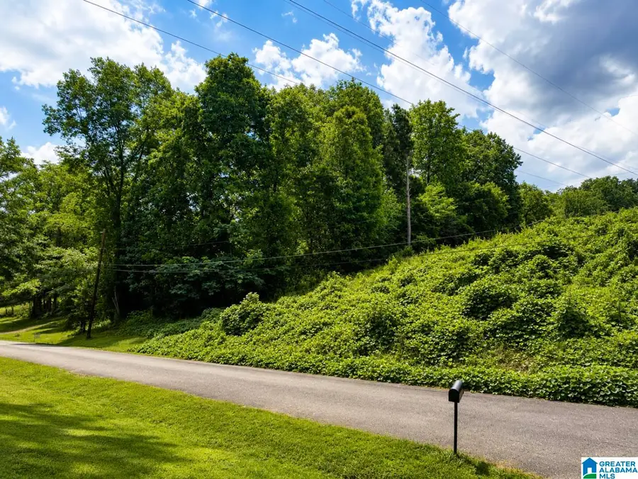 416 WADSWORTH DRIVE, Birmingham, AL 35214 - #2