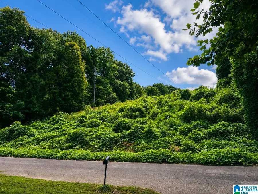 416 WADSWORTH DRIVE, Birmingham, AL 35214 - #3