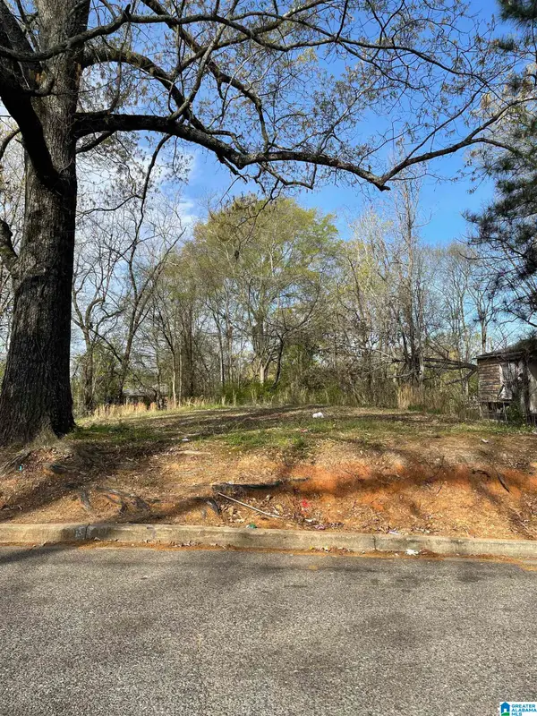 7232 PARIS AVENUE, Birmingham, AL 35206