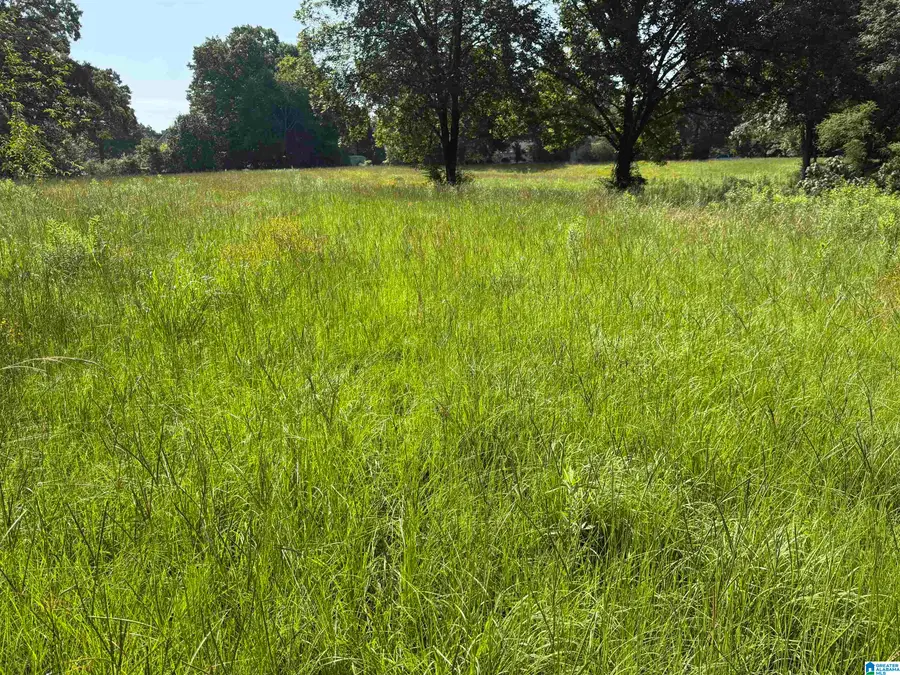 1423 7TH PLACE, Pleasant Grove, AL 35127 - #2