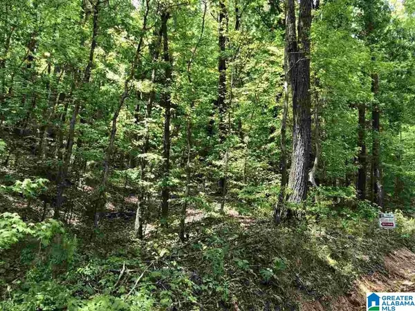 TINY KINGDOM ROAD, Remlap, AL 35133