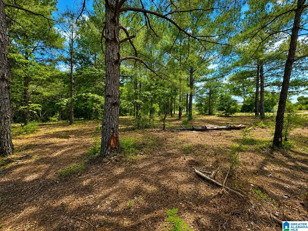 0 N COUNTY ROAD 21 N, Prattville, AL 36051 - #1