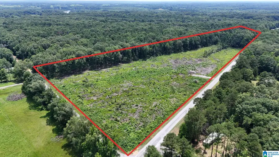 0 COUNTY ROAD 16, Greensboro, AL 36744 - #2