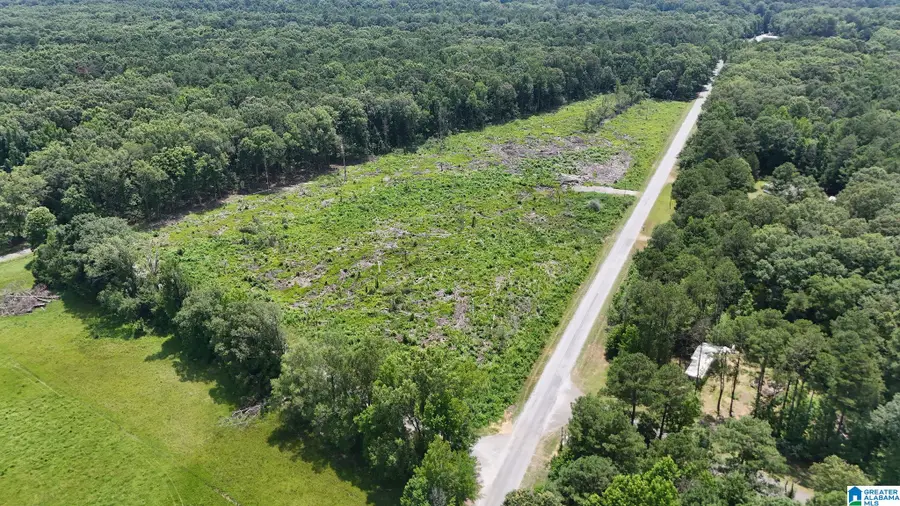 0 COUNTY ROAD 16, Greensboro, AL 36744 - #3