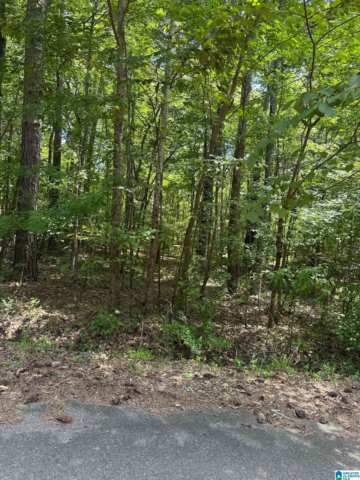 8596 WOODVIEW LANE, Pinson, AL 35126 - #1