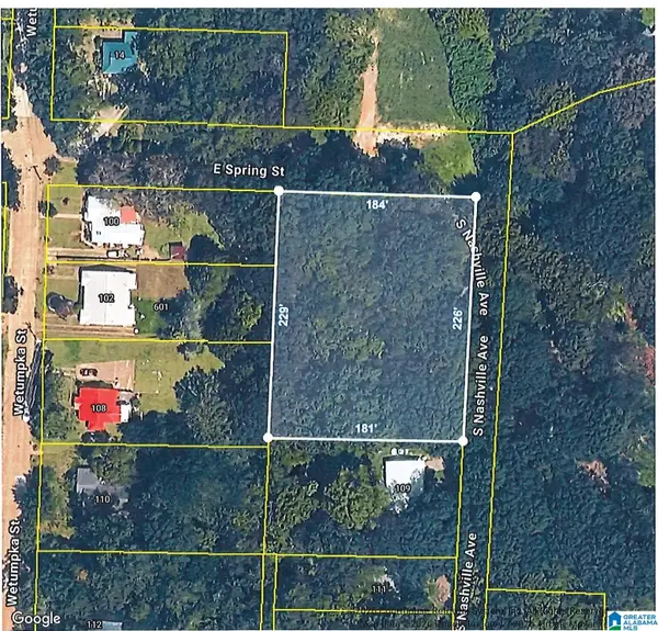 00 E SPRING STREET, Sylacauga, AL 35150