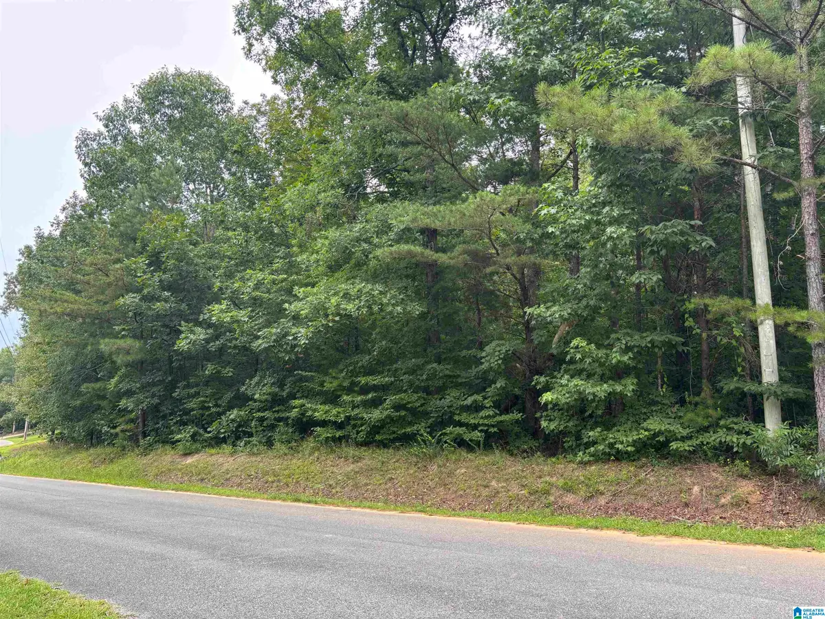 HAYFIELD LOOP, Dora, AL 35062 - #1