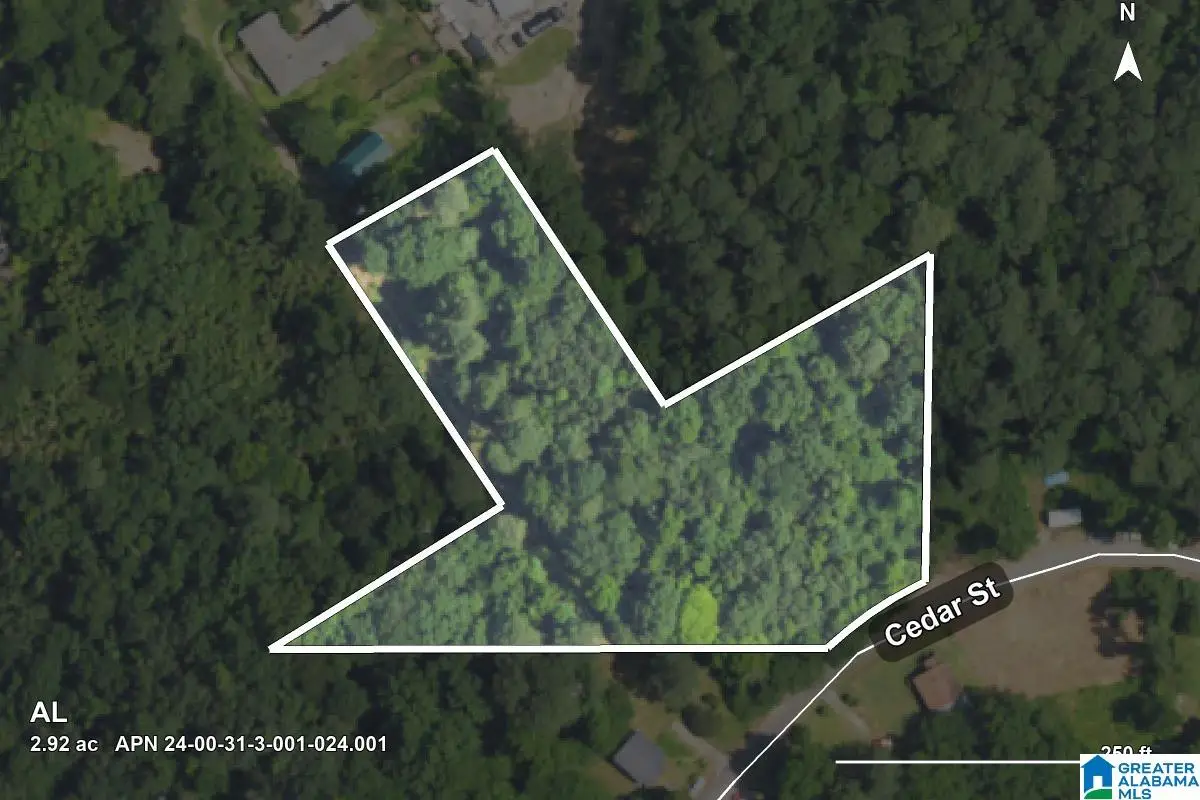 0 CEDAR STREET, Birmingham, AL 35210 - #1